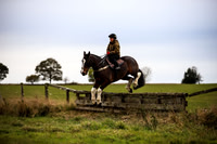 Trot and Pop 1