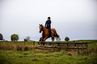 Trot and Pop 2